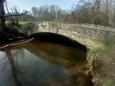 Spiegelbach, Brücke im Oberlauf