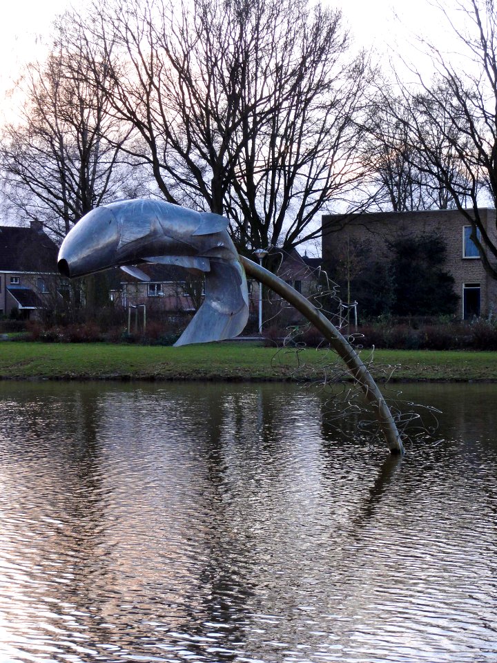 Spiegelkarper2 Maria Jeronimus Heino