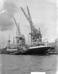 Spitsbergen, Bestanddeelnr 905-8702