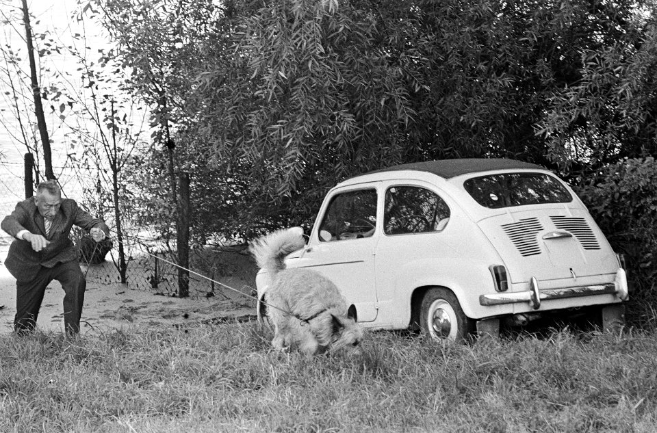 Sporenonderzoek rond de vermoedelijke vluchtauto met behulp van een politiehond, Bestanddeelnr 919-5178