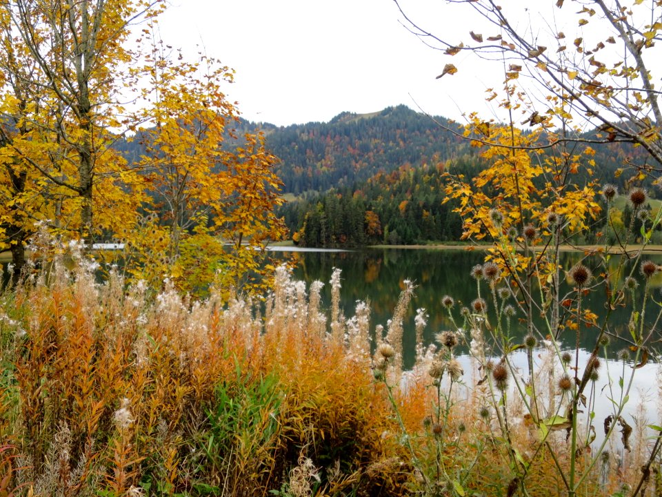 Spitzingsee 2