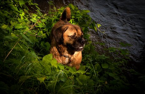 Light sunbeam nature
