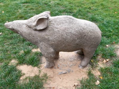SpielplatzTeichstraßeHalle Wildschwein