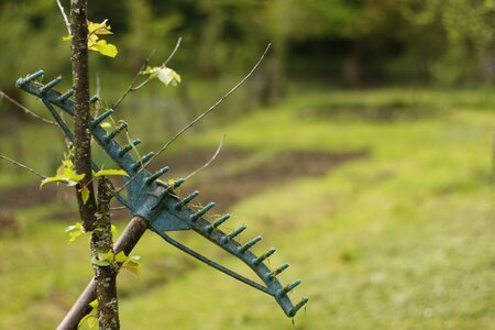 Gardening gardening tools agriculture photo