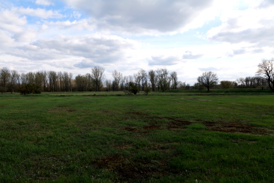 Spreeaue Cottbus-Nord 2021-04-24 78