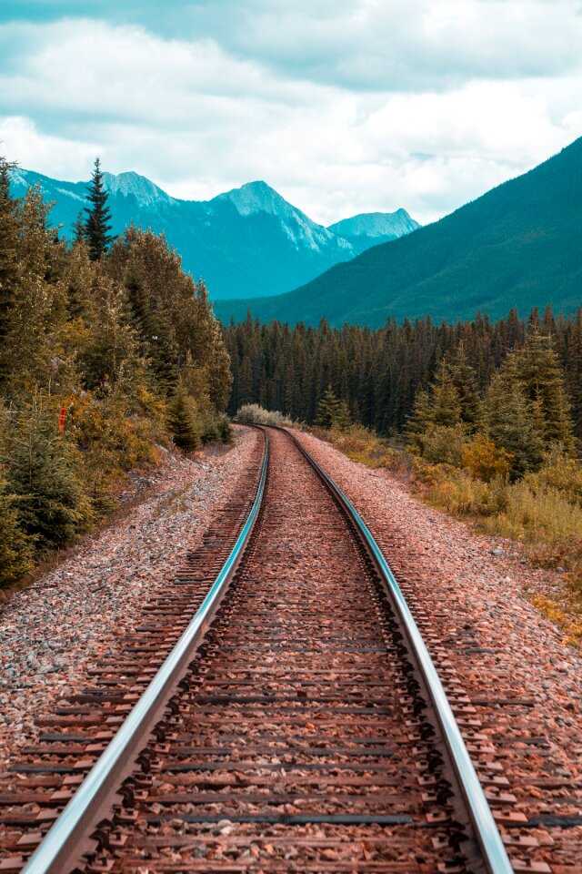 Railroad railway trees