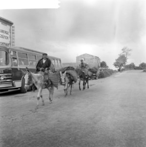Spanje, ezeltjes dragen zand, Bestanddeelnr 918-0138