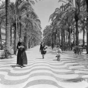 Spanje, palmenboulevard in Alicante, Bestanddeelnr 918-0144