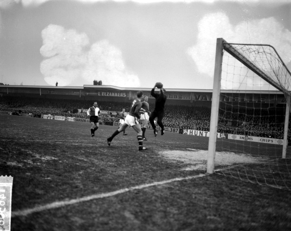 Sparta tegen Feyenoord 3-0, vlnr Bennaars, Ter Horst, Kok en Doesburg, Bestanddeelnr 914-6506