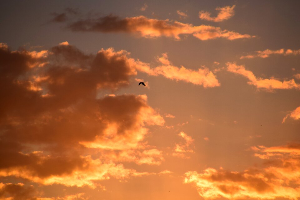 Landscape abendstimmung sky