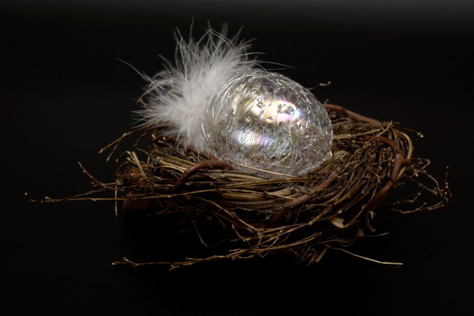 Fragile feather white