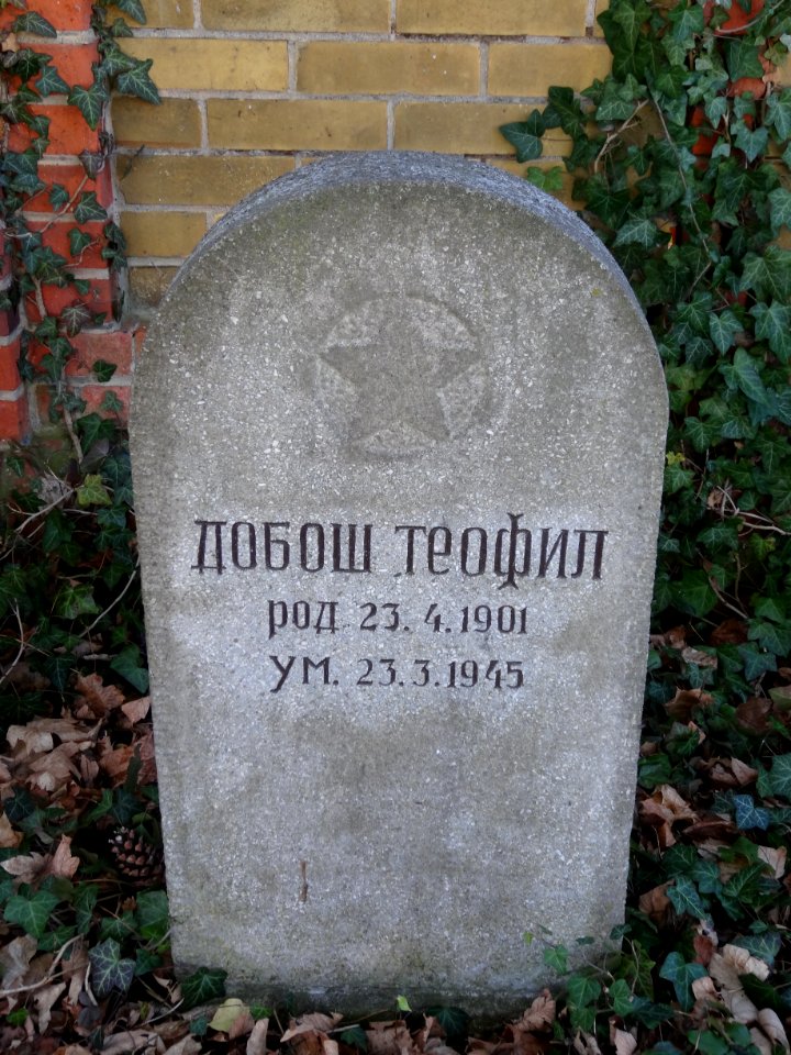 Sowjetische Kriegsgräberstätte in Arnstadt 102