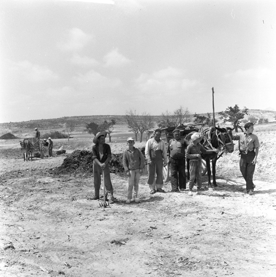 Spanje, landbouw, landbouwers, Bestanddeelnr 918-0113