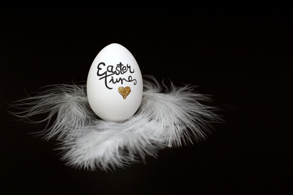 Fragile feather white