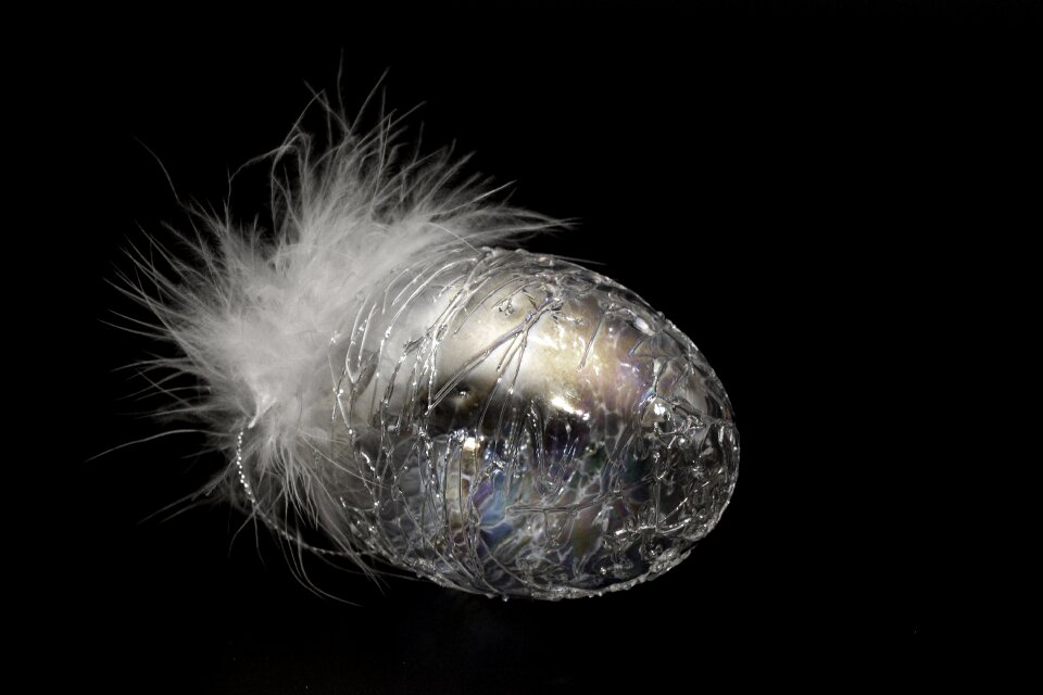 Fragile feather white