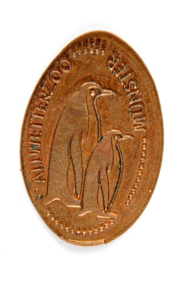 Souvenirmünze Zoo Münster Pinguine