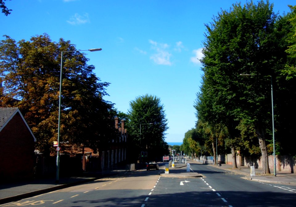 Southwestward view along The Upper Drive, Hove (August 2014)