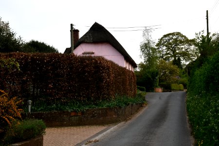 Sowton 2020-04-19 (22)