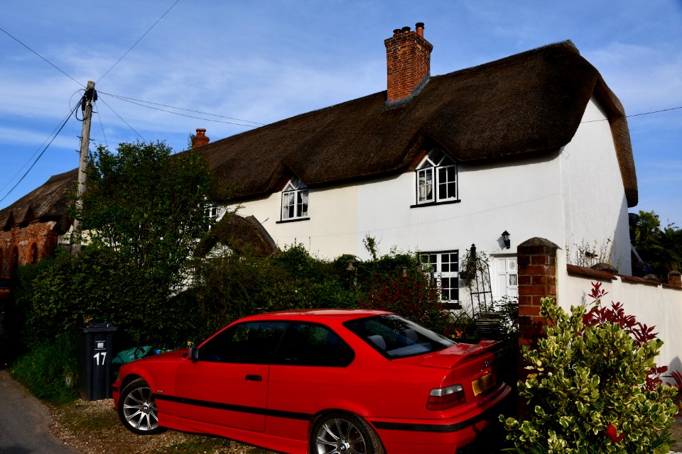 Sowton 2020-04-19 (4)
