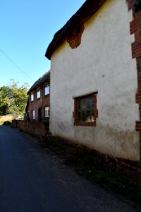 Sowton (2020-09-26) 03