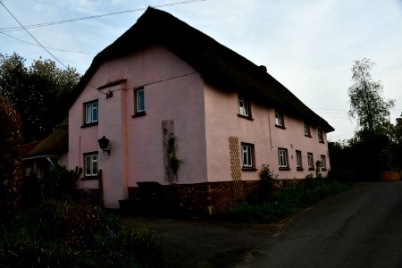 Sowton 2020-04-19 (23)
