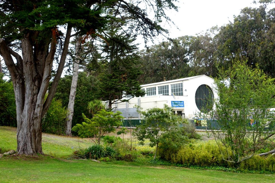 South American Tropical Forest building - San Francisco Zoo - San Francisco, CA - DSC03715