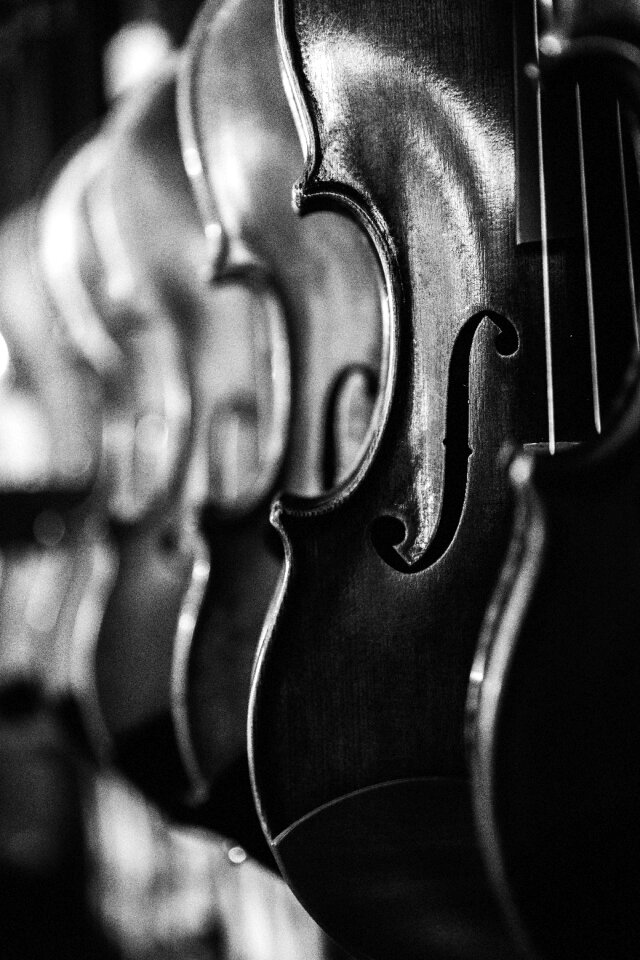 Black and white blur bowed stringed instrument