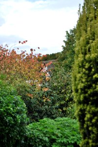 Speke Hall from the Gardens 3