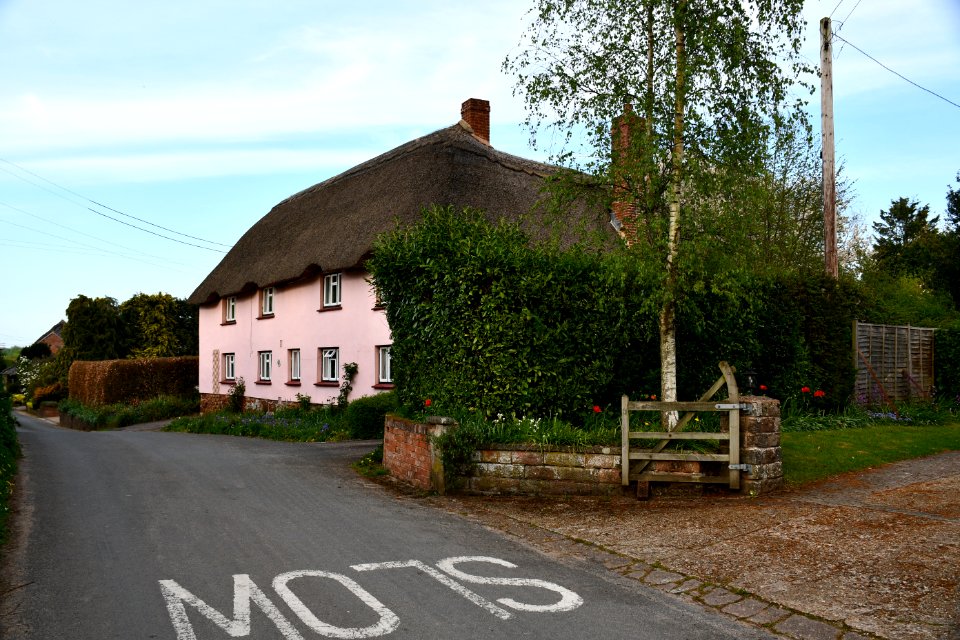 Sowton 2020-04-19 (12)