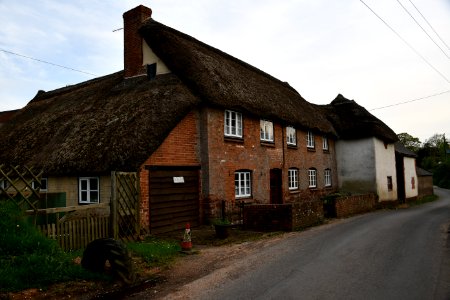 Sowton 2020-04-19 (21)