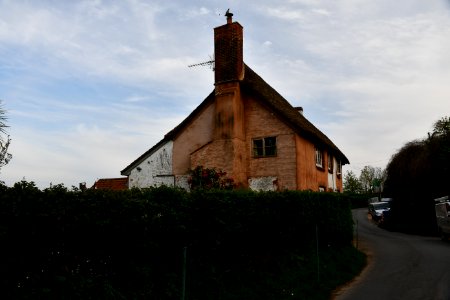 Sowton 2020-04-19 (17)