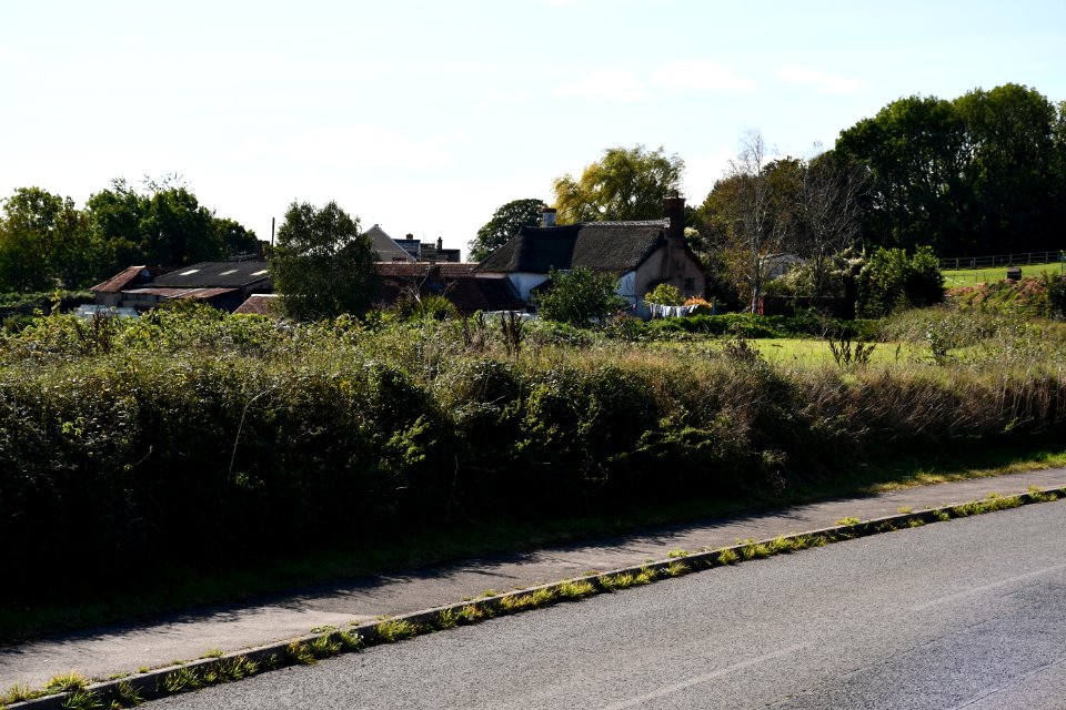 Sowton (2020-09-26) 01