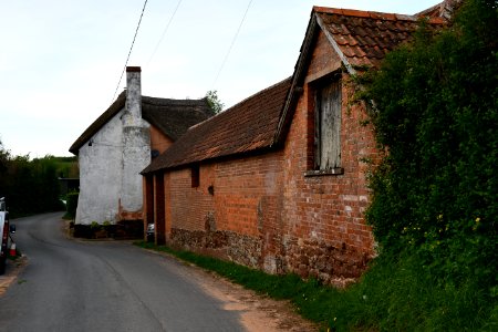 Sowton 2020-04-19 (16)
