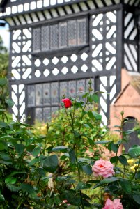 Speke Hall Garden 7