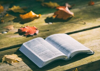 Pages reading open