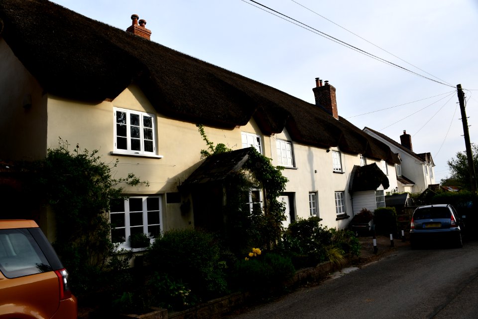Sowton 2020-04-19 (6)