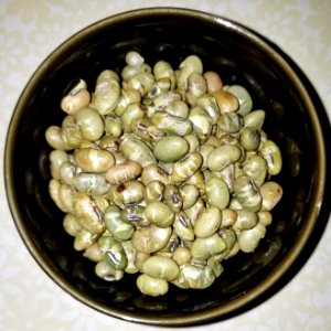 Soybeans, dry roasted - Massachusetts photo