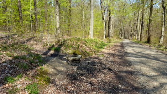 Spa-Source de la Pelerine-Voie (3)