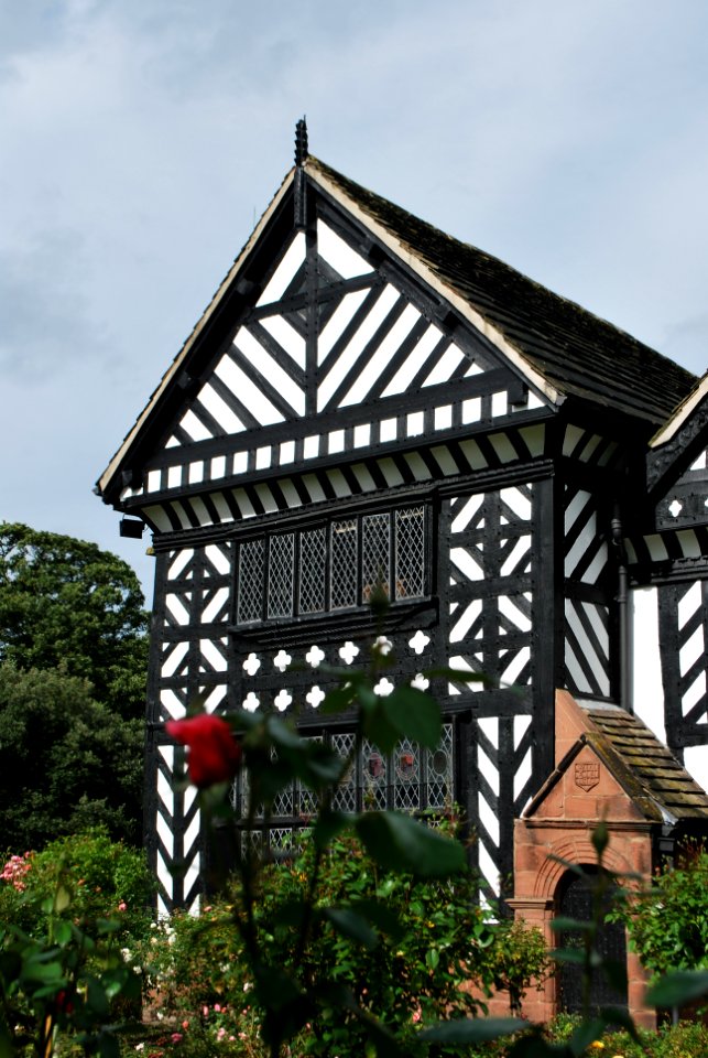 Speke Hall Trees Back 2