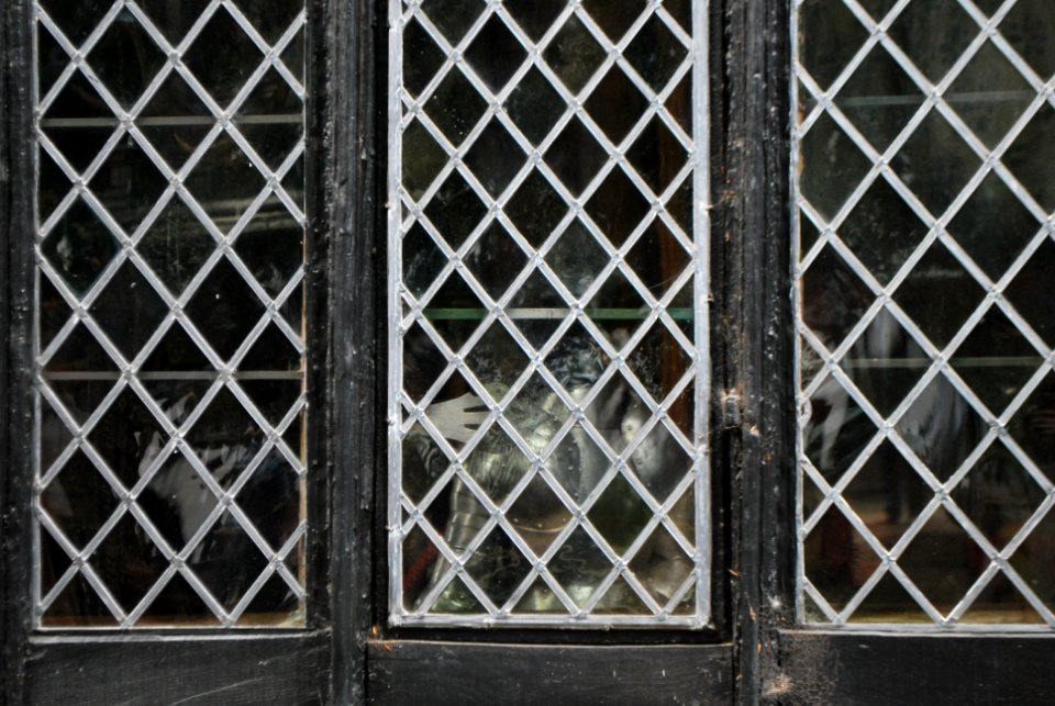 Speke Hall Windows
