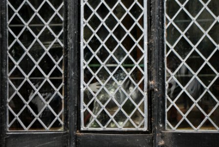 Speke Hall Windows