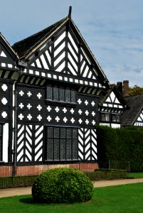 Speke Hall Trees Back
