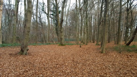 Spa-Source Marie-Henriette (1)