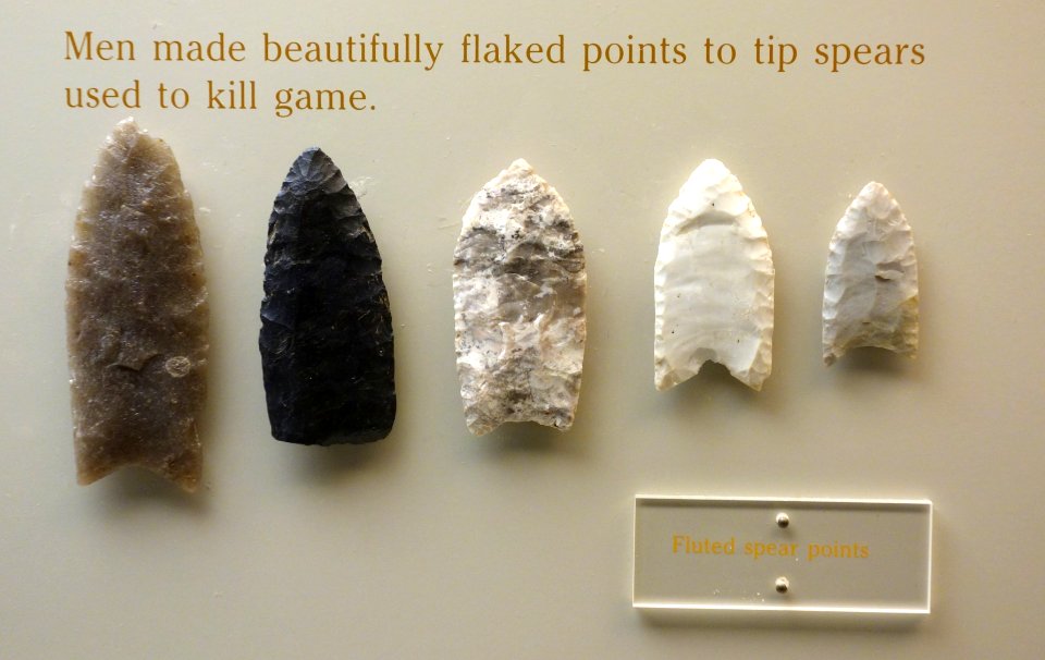 Spear tips (fluted), Late Paleo Early Archaic Indians, 8000-6000 BC, stone - Wisconsin Historical Museum - DSC03426