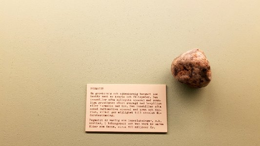 Specimen at Natural History Museum, Gothenburg 86