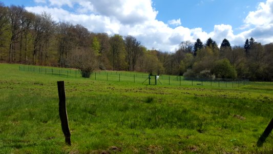 Spa-Source de Barisart (15)