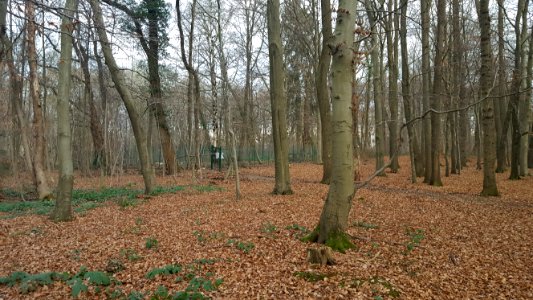 Spa-Source Marie-Henriette (2)