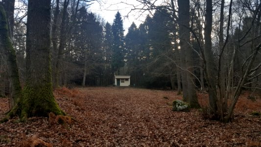 Spa-Source de la Reine (2)