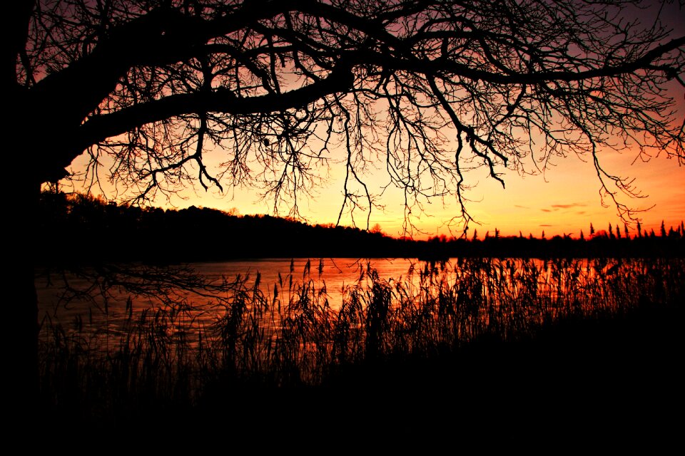 Pond winter good weather
