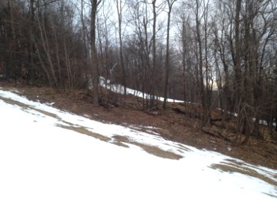 Sparse snow, utility work on alpine ski trail